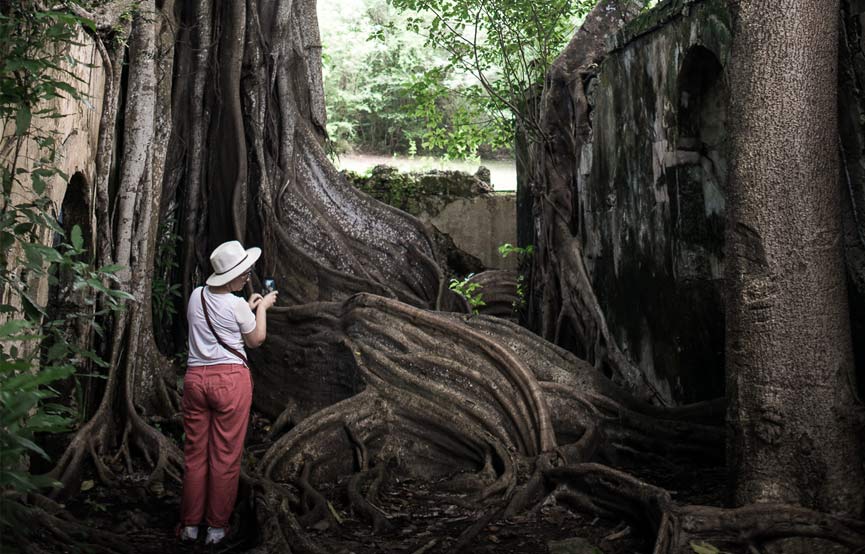 Calendrier éditorial, réseaux sociaux, community mangement, SEO - Crédit-photo Jane Web