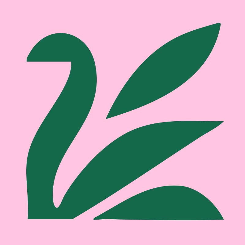 4-deco-site-jane-web-800x800