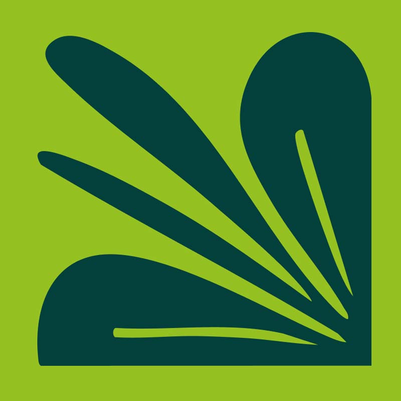 deco-site-jane-web-800x800